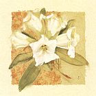 Rhododendron of Spring by Cheri Blum